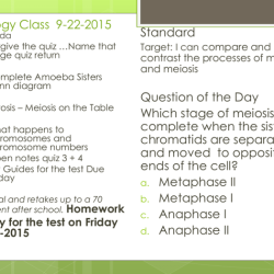 Amoeba sisters mitosis vs meiosis answer key