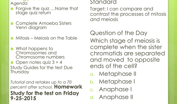 Amoeba sisters mitosis vs meiosis answer key