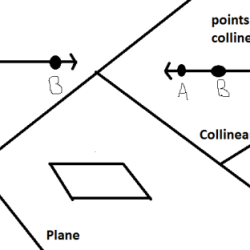 Points lines and planes crossword puzzle