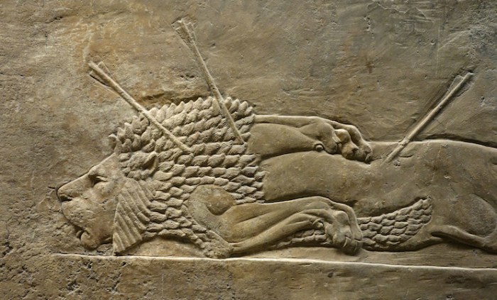 Lion hunt briton painting riviere assyrian paintings unfinished assyria final paintingvalley rivière artwork visita animal paintingstar back lions