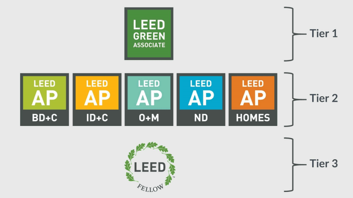 Leed associate study