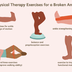 Physio ex exercise 3 activity 5