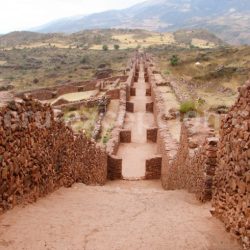 Wari huari caracteristicas