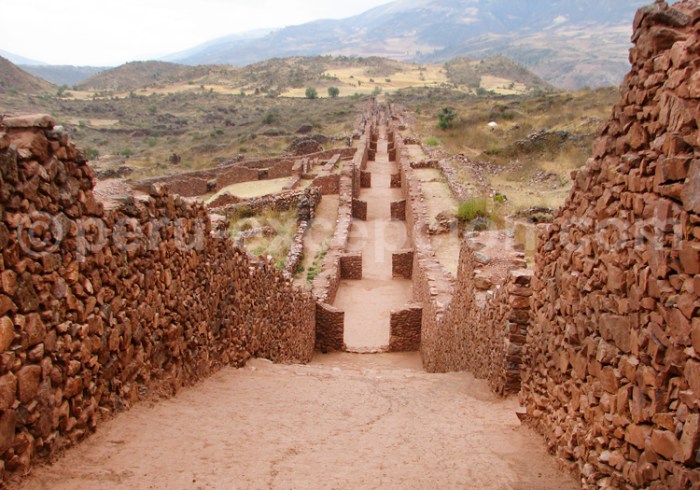 Wari huari caracteristicas