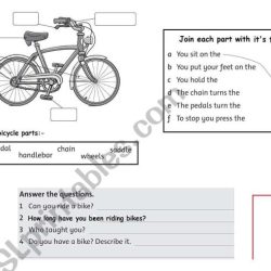 Why can't bicycles stand up by themselves worksheet answers