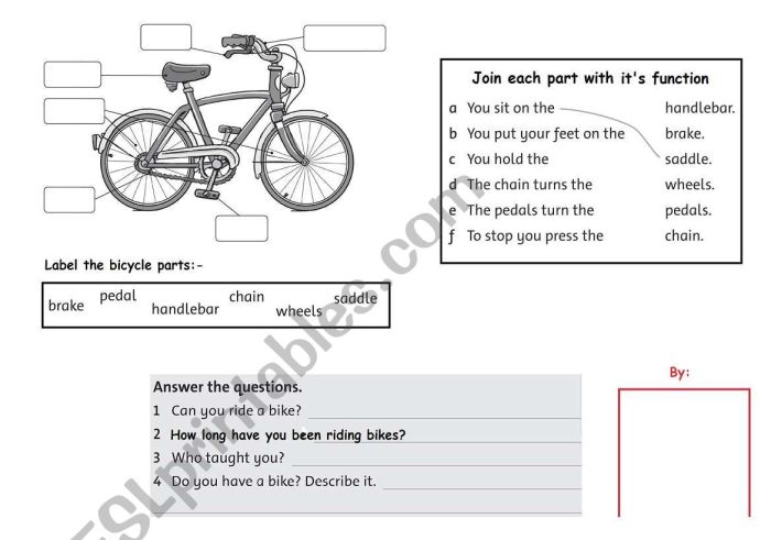 Why can't bicycles stand up by themselves worksheet answers