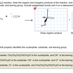 Predict following reaction provide curved mechanism arrow include sn2 chegg question ch3 lone pairs